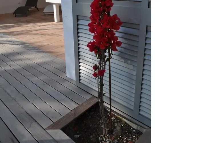 La Bougainvilla Begur